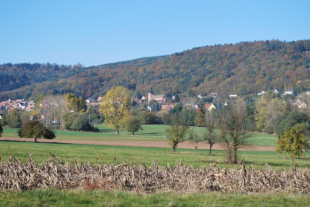 Chambres D'Hotes Les Vignes Saint-Jean-Saverne Buitenkant foto