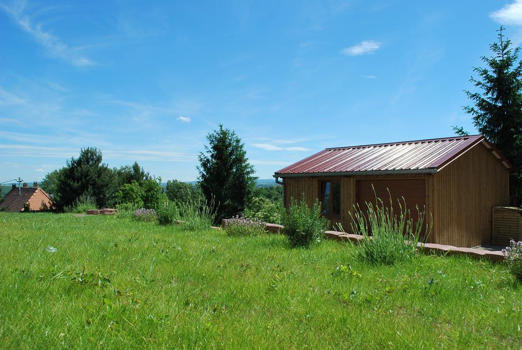Chambres D'Hotes Les Vignes Saint-Jean-Saverne Buitenkant foto