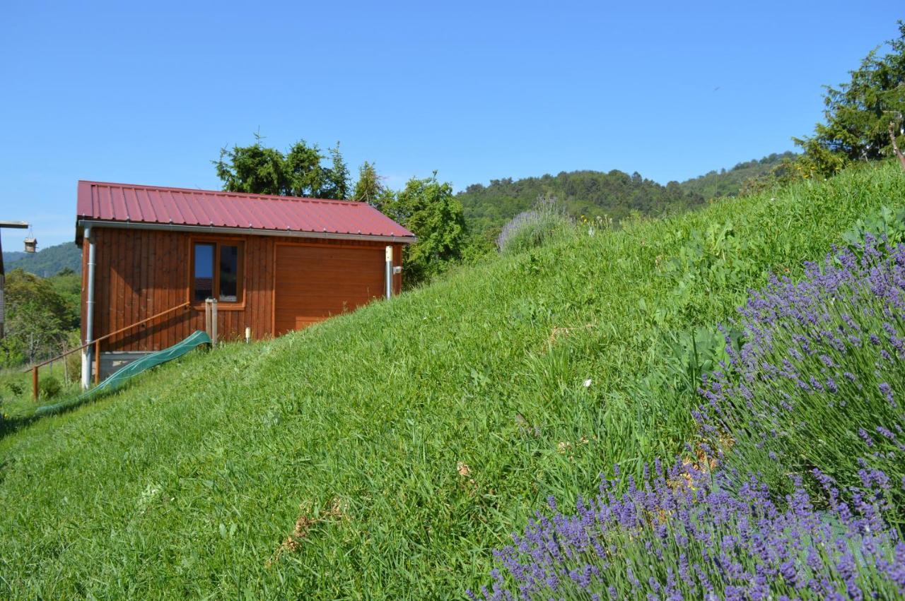 Chambres D'Hotes Les Vignes Saint-Jean-Saverne Buitenkant foto