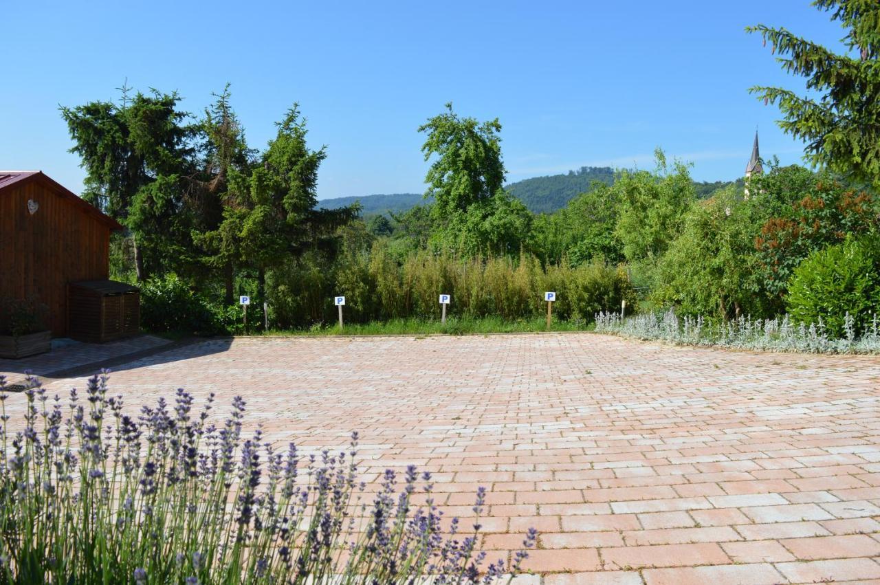 Chambres D'Hotes Les Vignes Saint-Jean-Saverne Buitenkant foto