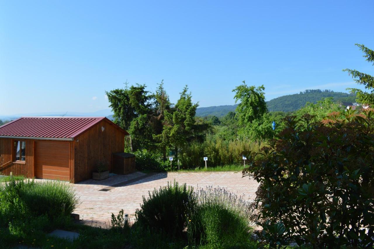 Chambres D'Hotes Les Vignes Saint-Jean-Saverne Buitenkant foto