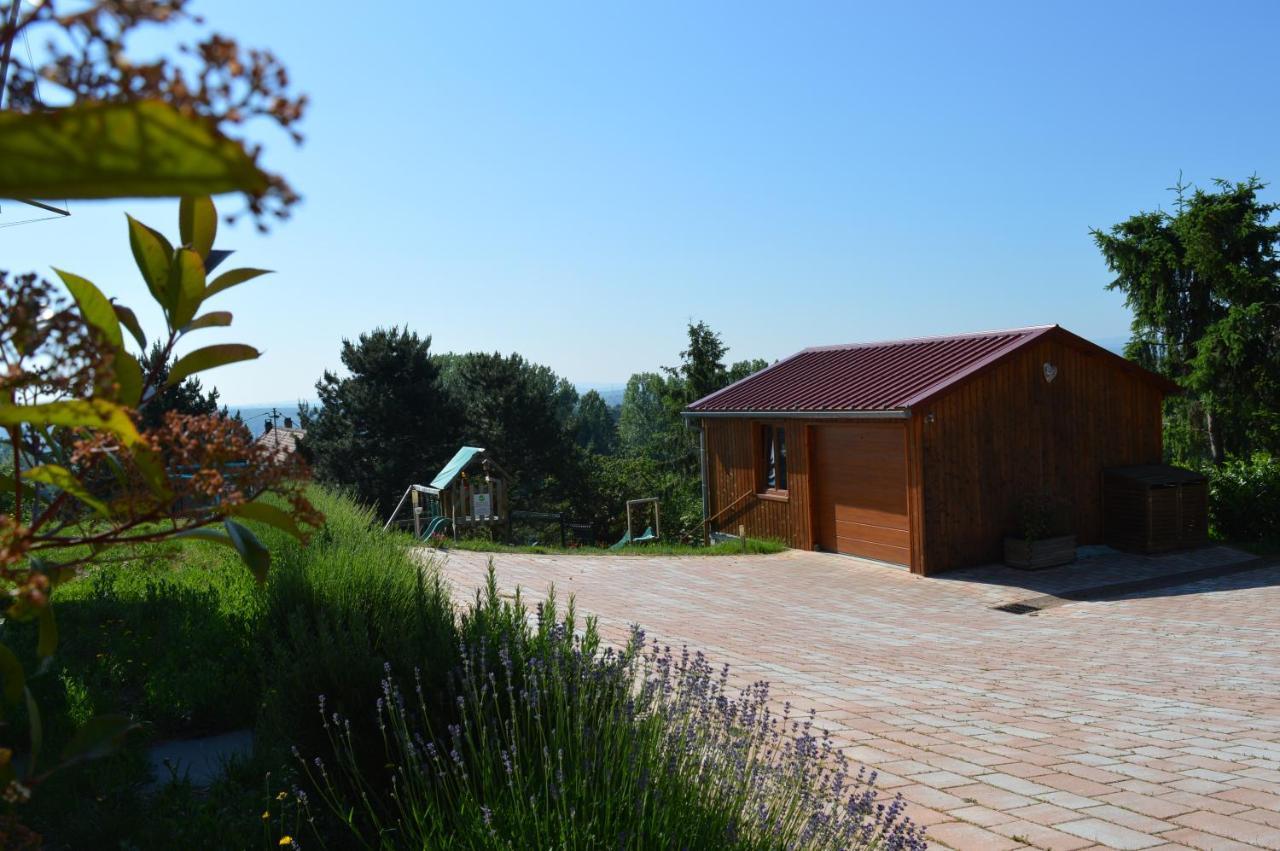 Chambres D'Hotes Les Vignes Saint-Jean-Saverne Buitenkant foto
